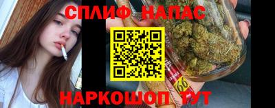 прущий лед Будённовск